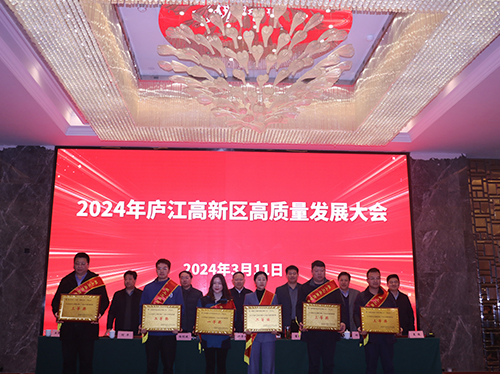 【喜報】德科電氣榮獲2023年廬江高新區(qū)企業(yè)高質量發(fā)展一等獎！